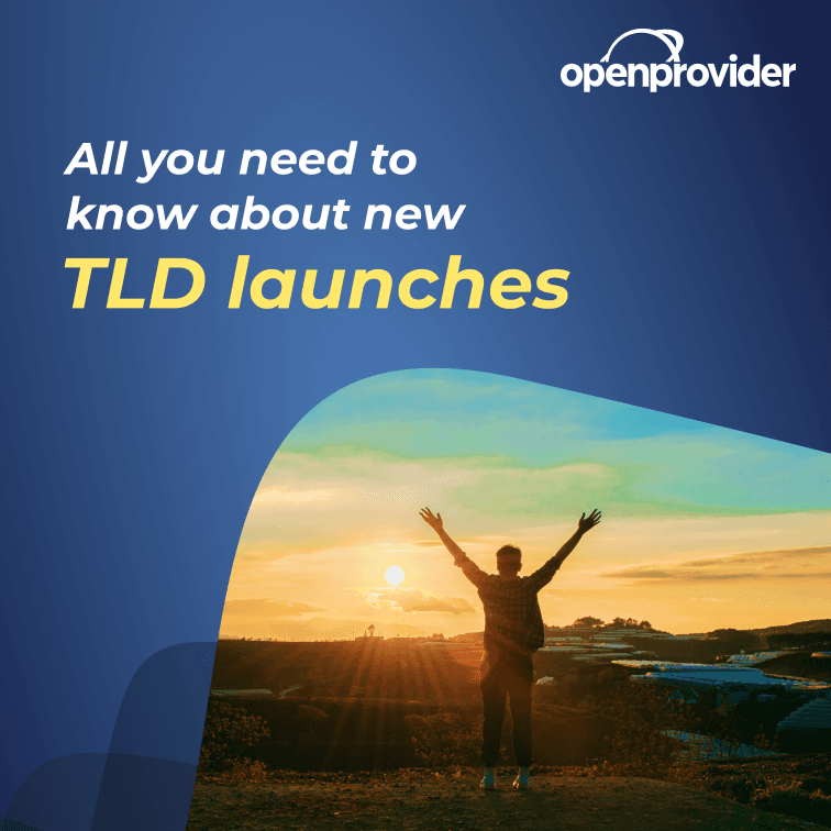 how do new gtld launch phases work?