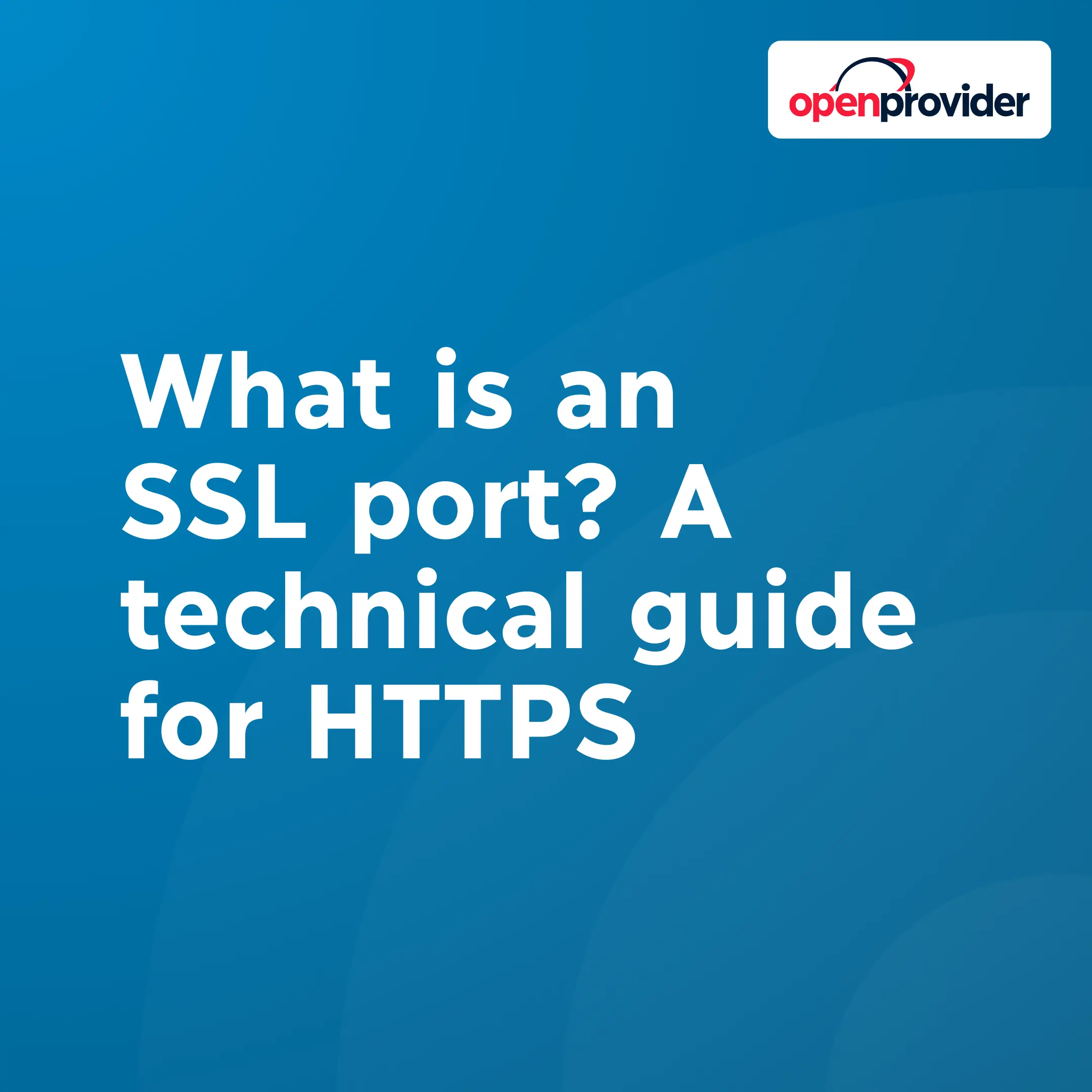 What is an SSL port? A technical guide for HTTPS