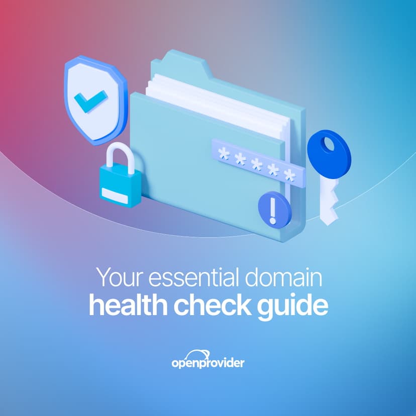 Your essential domain health check guide
