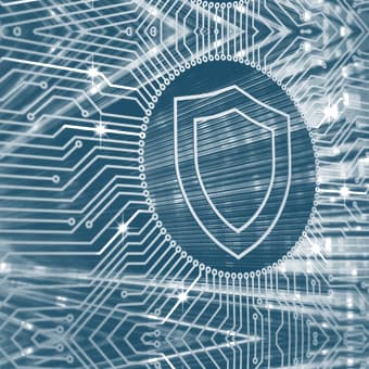 Increase your brand’s protection with DPML Plus from Donuts