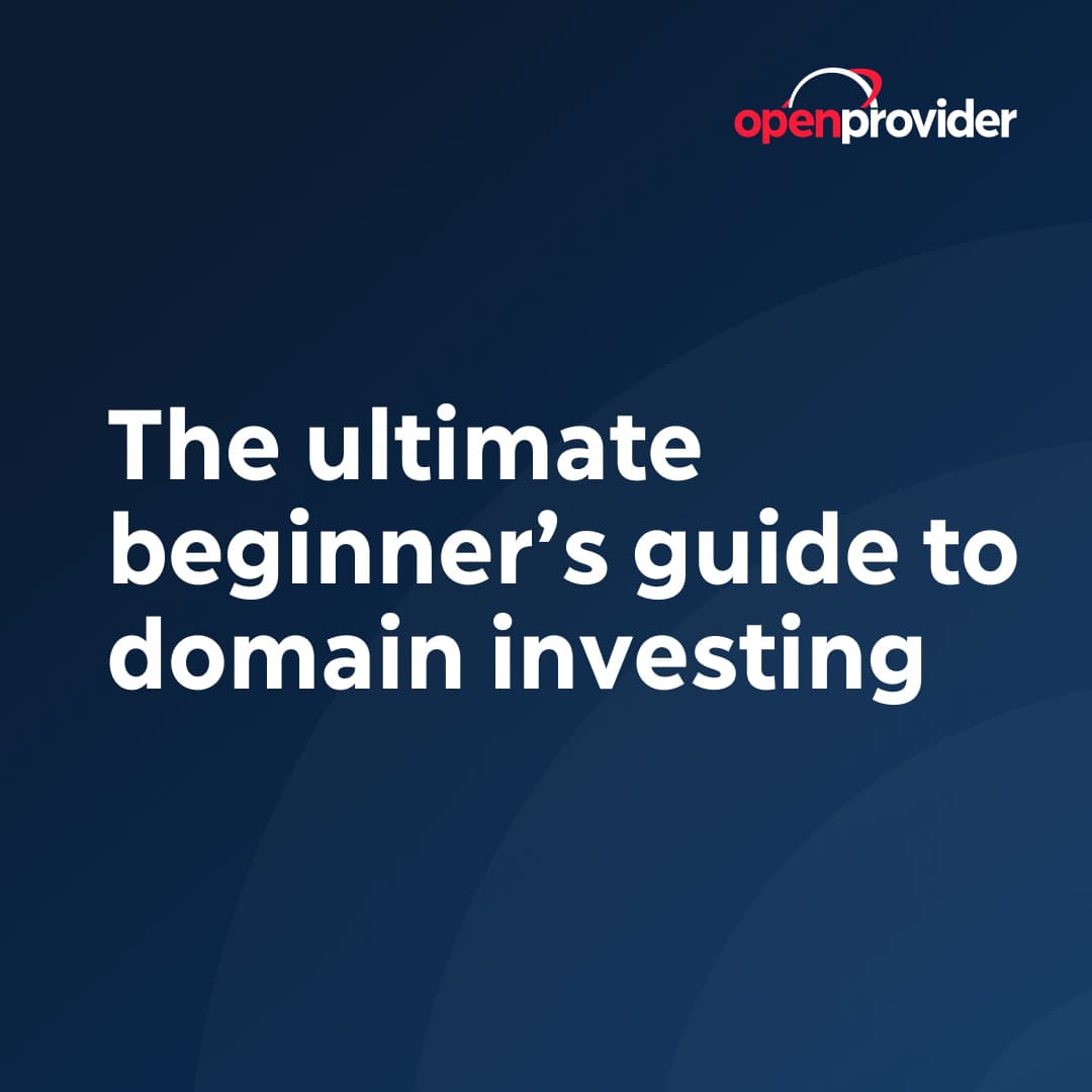 The ultimate beginner’s guide to domain investing