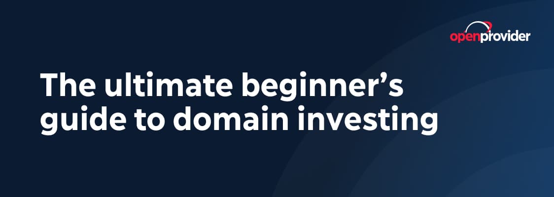 guide to domain investing