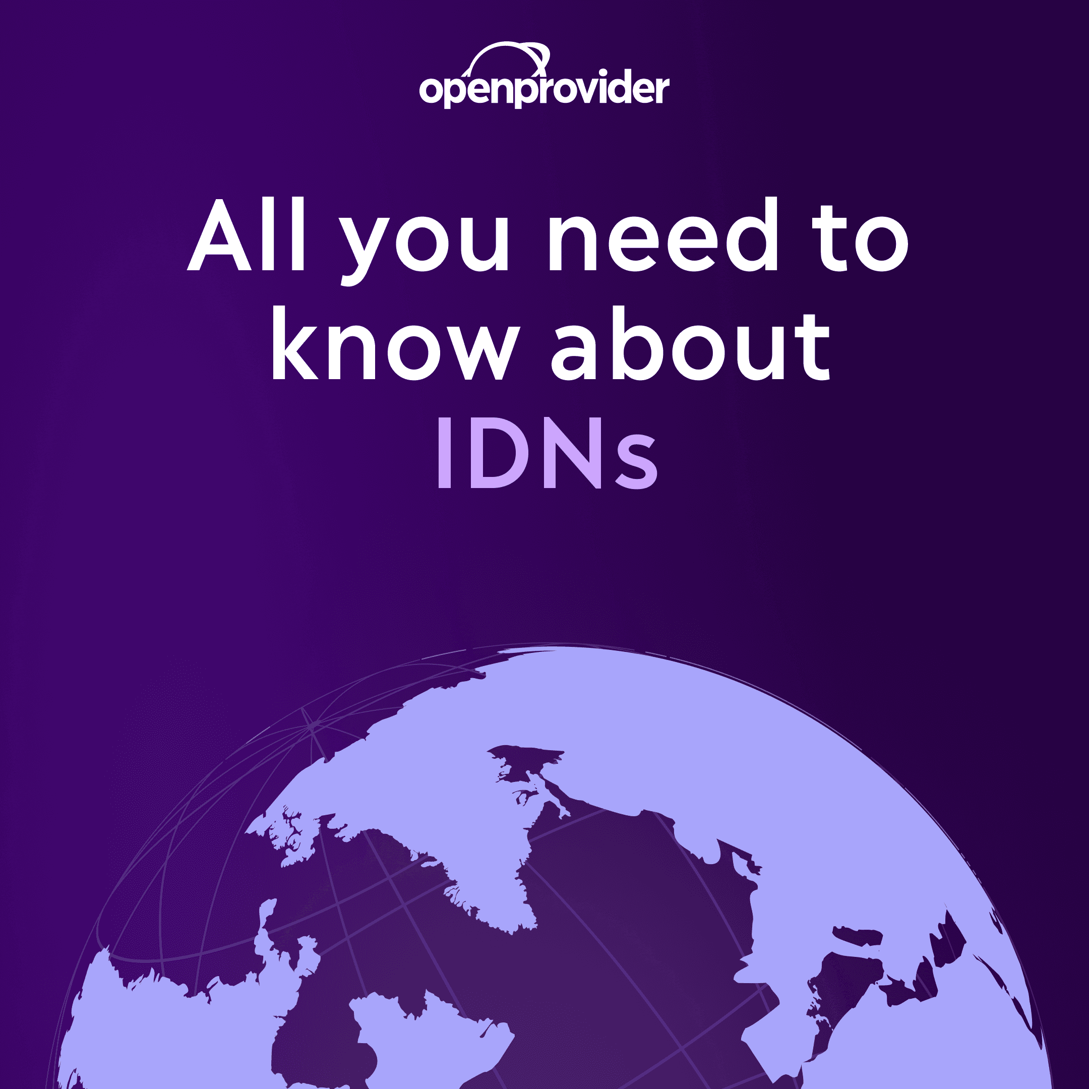 all you need to know about idns