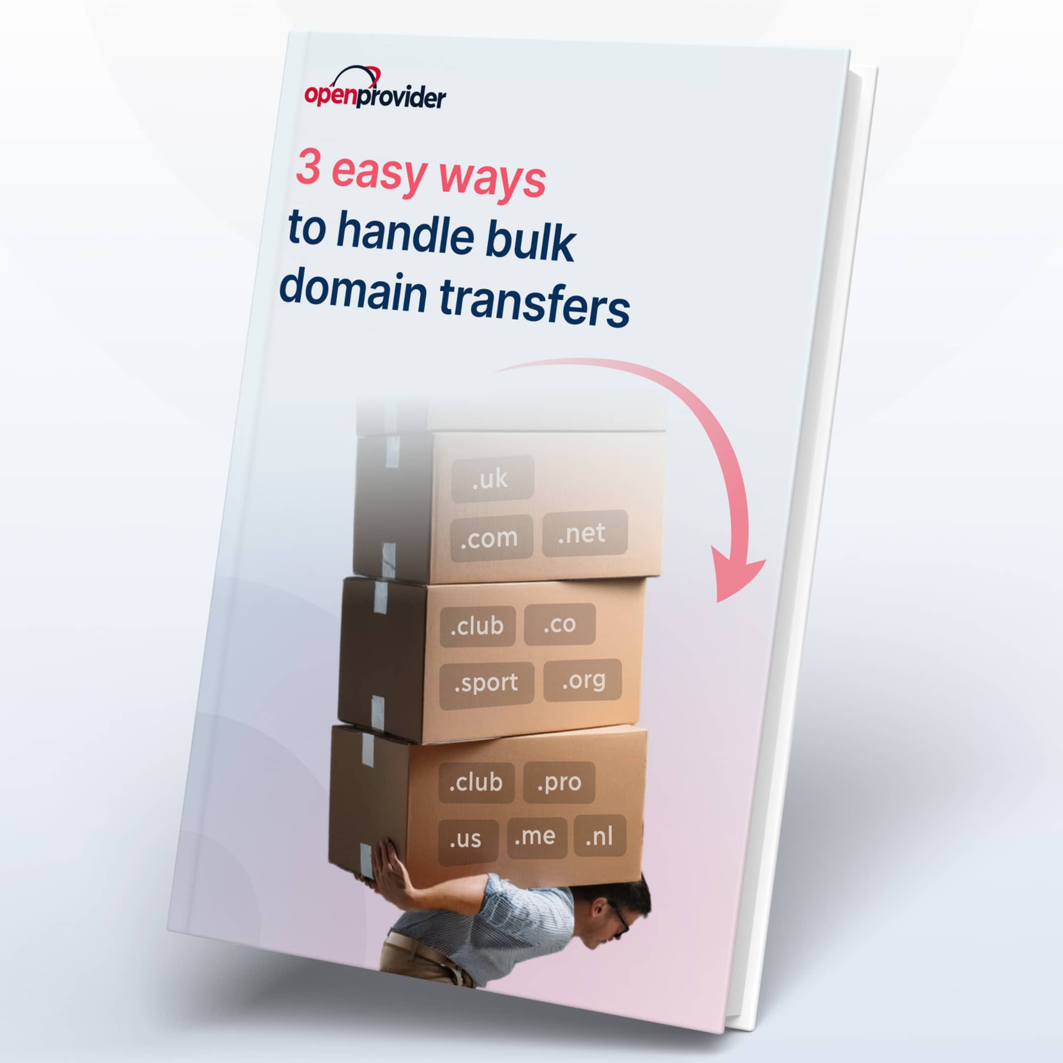 Bulk domain transfer guide