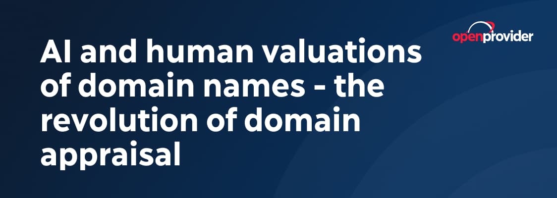 ai and human valuations of domain names
