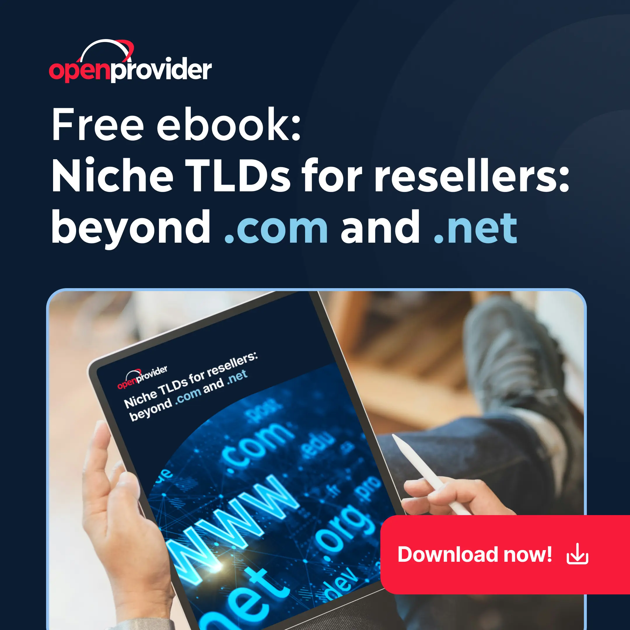 Free ebook: niche TLDs for resellers