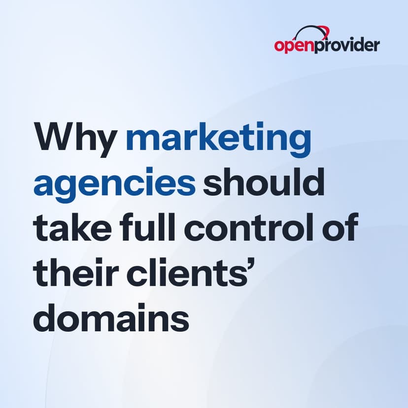 domain control for marketing agencies