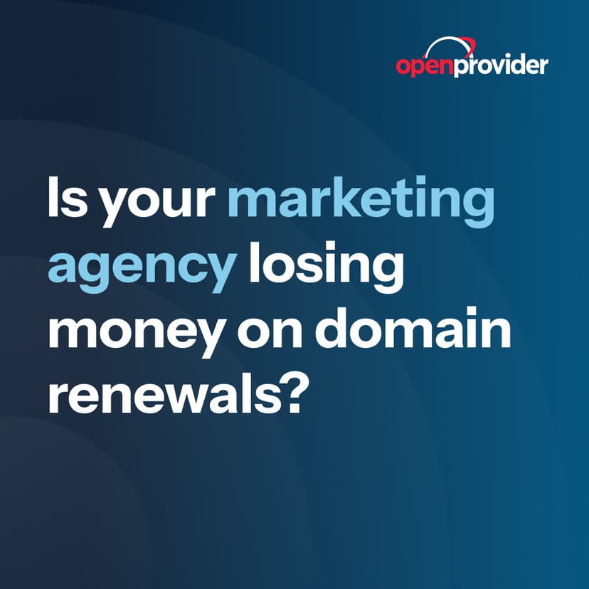 Losing Money on Domain Renewals
