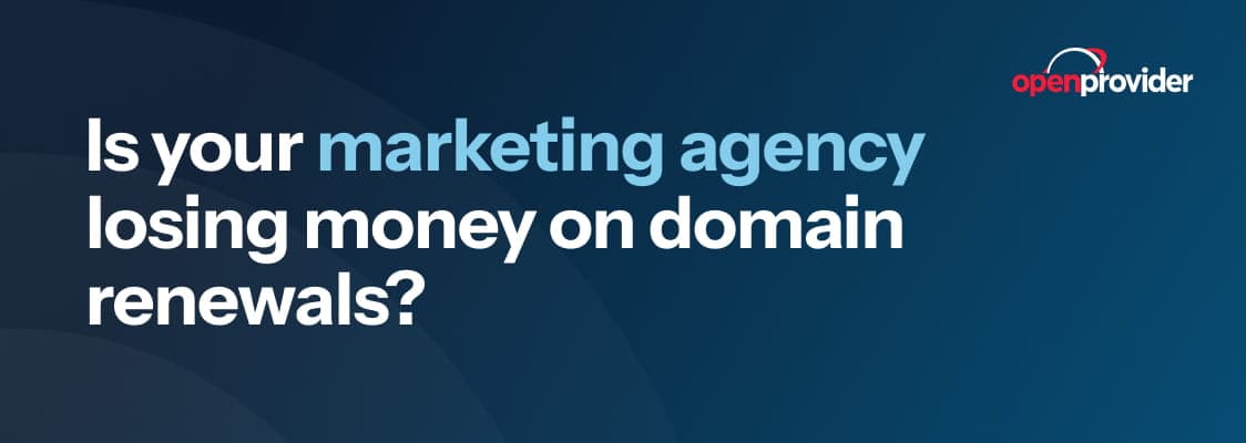 Losing Money on Domain Renewals