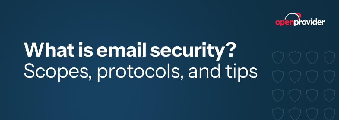 What is email security