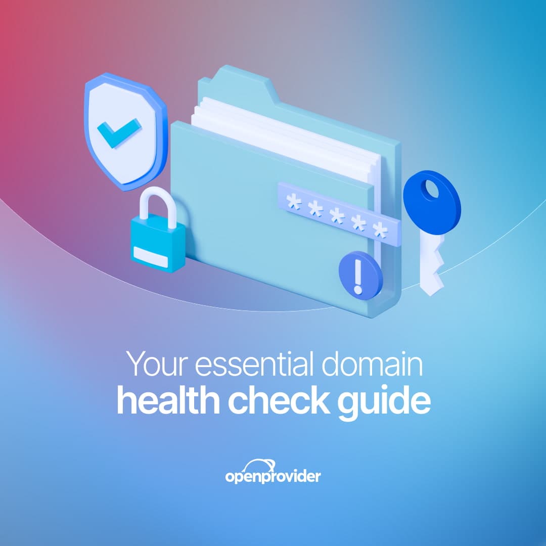 Your essential domain health check guide