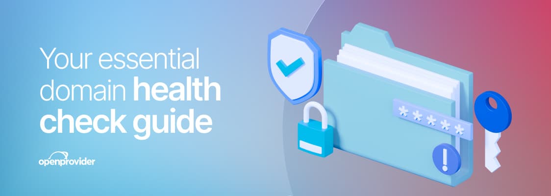 Your essential domain health check guide